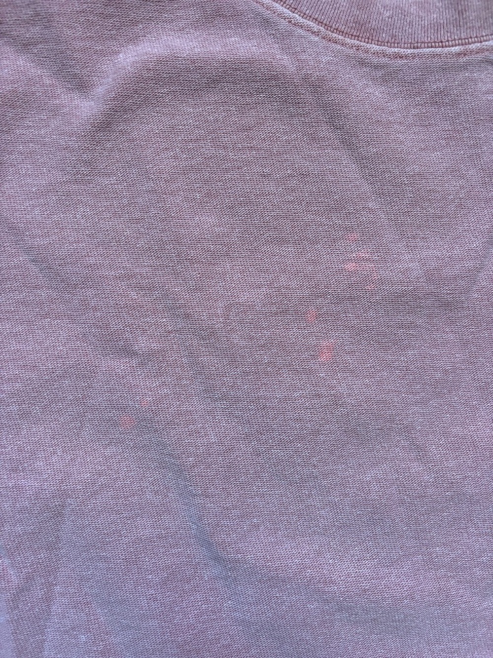 Kith x Russell Athletic, large - Picture 4 of 10